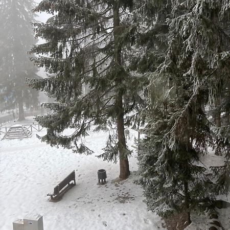 Studio Kris Villa Park Borovets Buitenkant foto